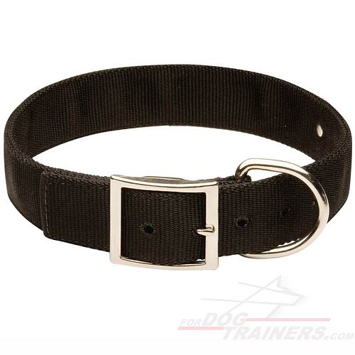 New-nylon-dog-collar-C42-with-ID-plate-big