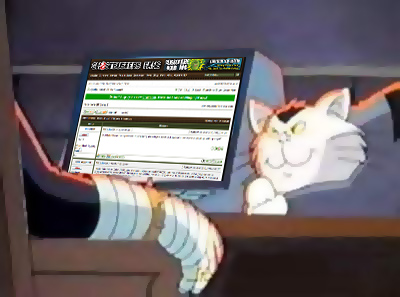 mad-cat.jpg